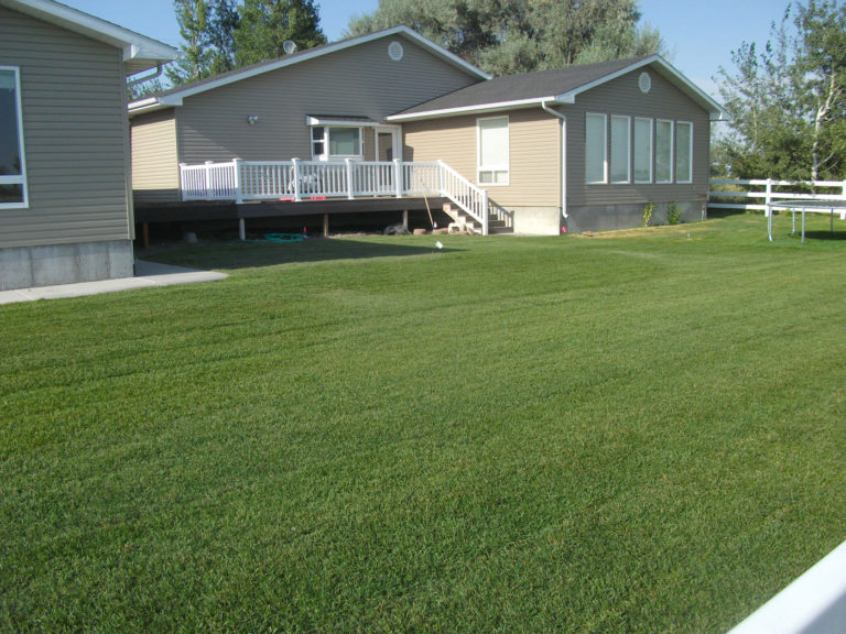 Sod Installation by Creative Design Landscaping, Serving Eastern Idaho